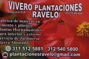 Vivero plantaciones ravelo