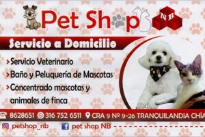 pet shop NB