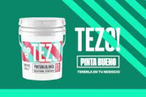 Tienda de pinturas Tezo